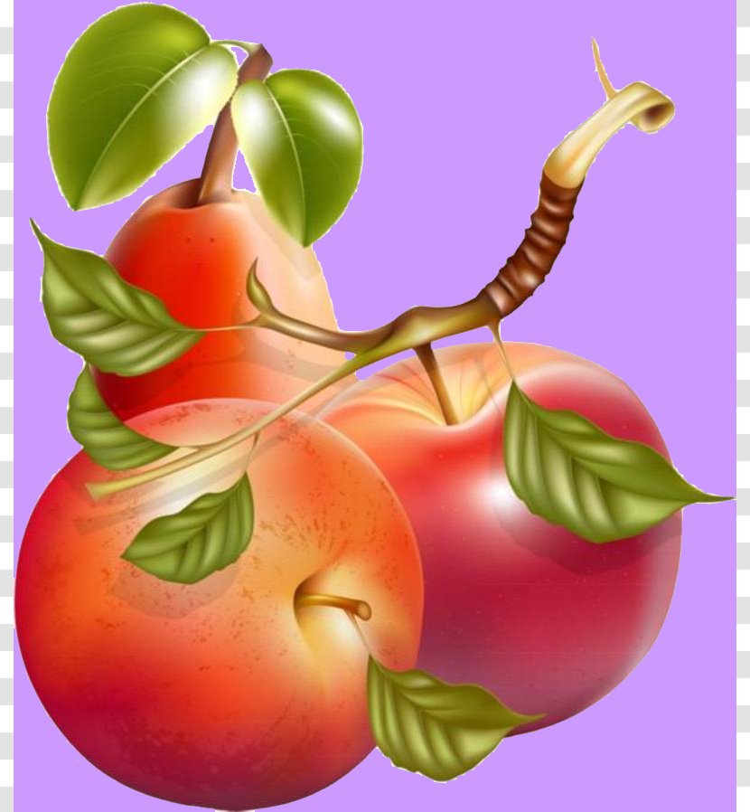 Juice Smoothie Apple Clip Art - Superfood - Fruit Business Propaganda Illustration Transparent PNG