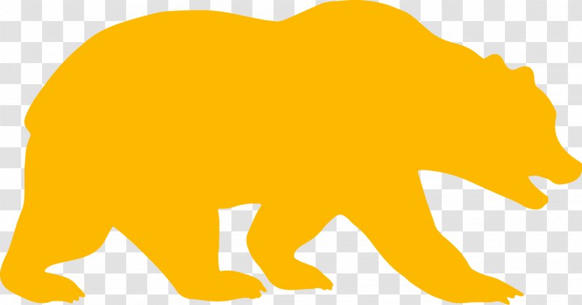 University Of California, Berkeley California Golden Bears Women's Basketball Football Baseball - Student - Bear Transparent PNG