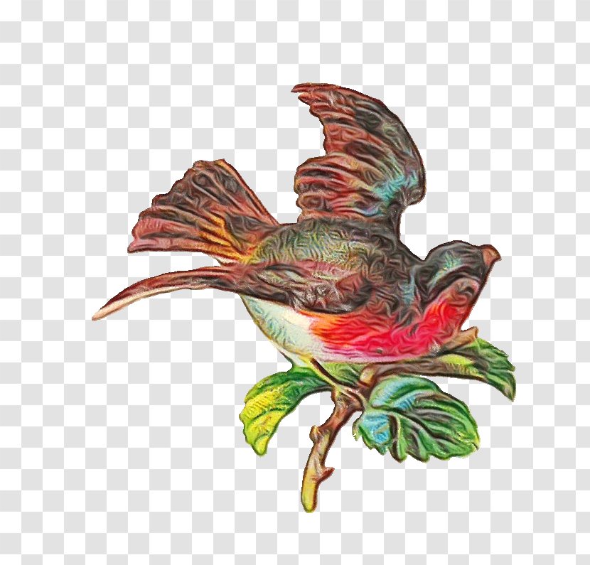 Hummingbird - Watercolor - Pollinator Plant Transparent PNG