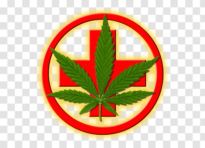 Medical Cannabis Nimbin MardiGrass 2018 Medicine Transparent PNG