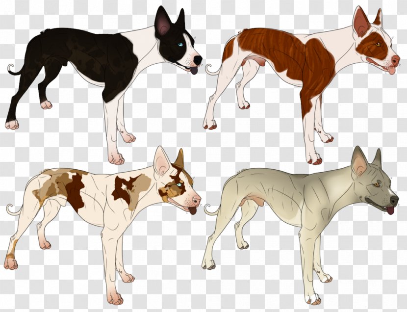 Dog Breed Whippet Ibizan Hound Bulldog Art - Crying Transparent PNG