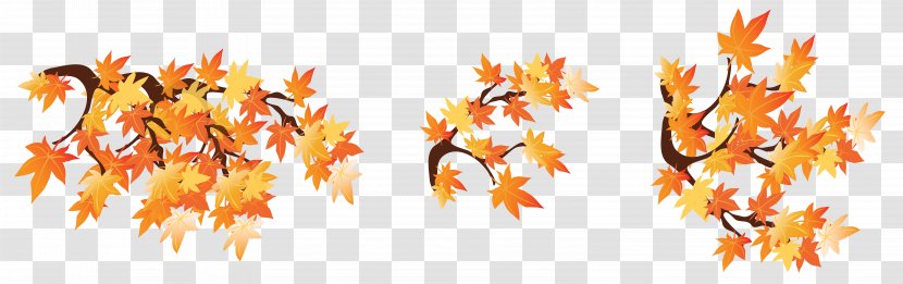Autumn Branch Clip Art - Drawing - Branches With Leaves Clipart Image Transparent PNG