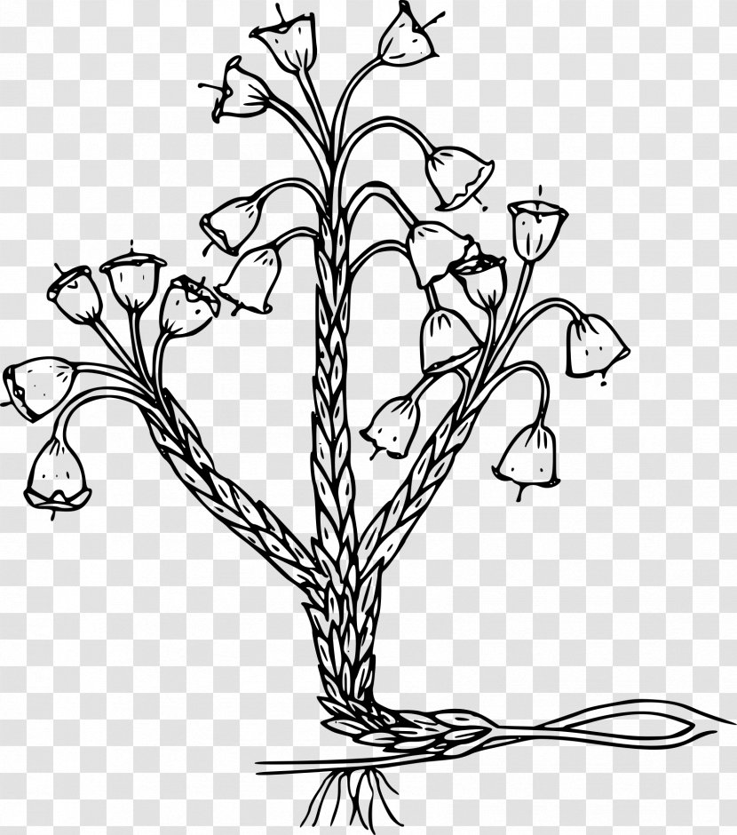 Plant Black And White Clip Art - Flora Transparent PNG