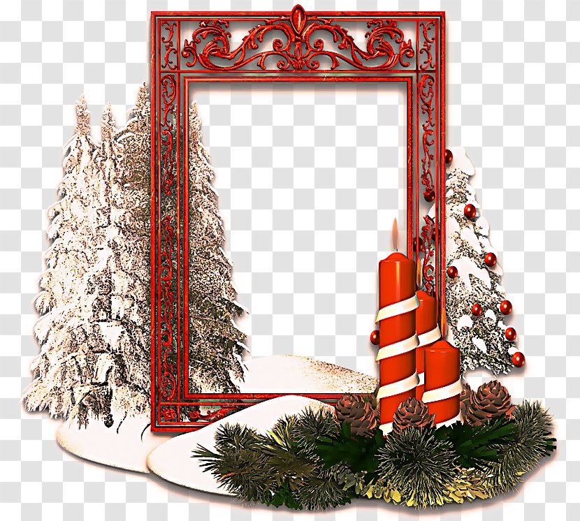 Christmas And New Year Background - Tree - Eve Plant Transparent PNG