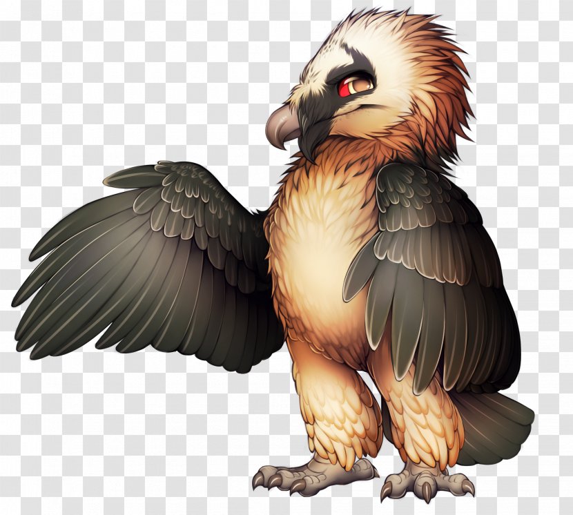 Bird Of Prey Bearded Vulture Egyptian - Beak - Dragon Transparent PNG