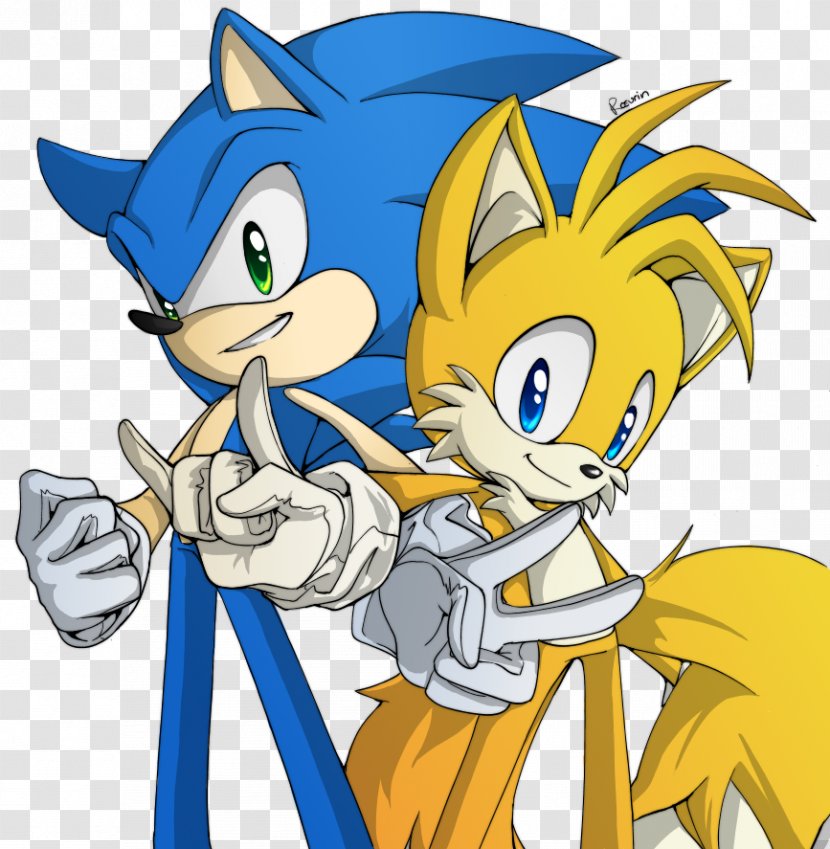 Sonic Chaos Tails The Hedgehog Knuckles Echidna Amy Rose - Silhouette Transparent PNG