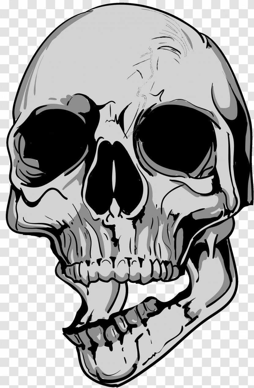Skull Drawing Human Skeleton Mouth Transparent PNG