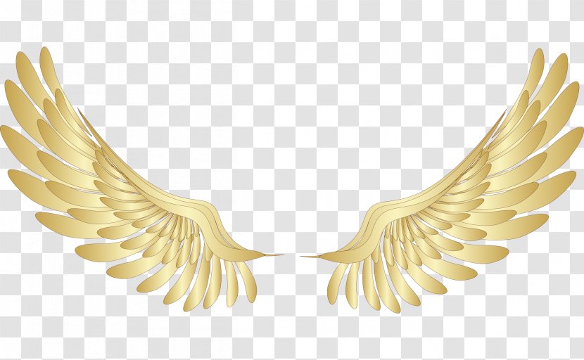 Wing Gold Clip Art - Color - Golden Wings Photos Transparent PNG
