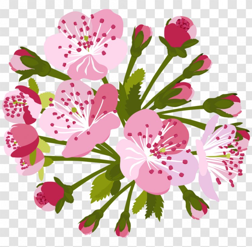 Cherry Blossom Background - Mug - Floral Design Geranium Transparent PNG