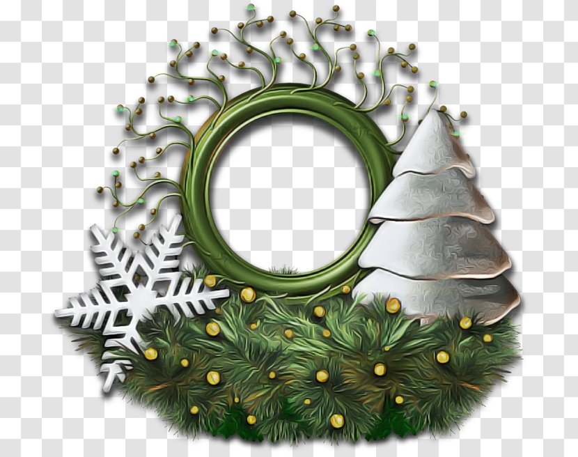Christmas Decoration - Tree - Colorado Spruce Conifer Transparent PNG