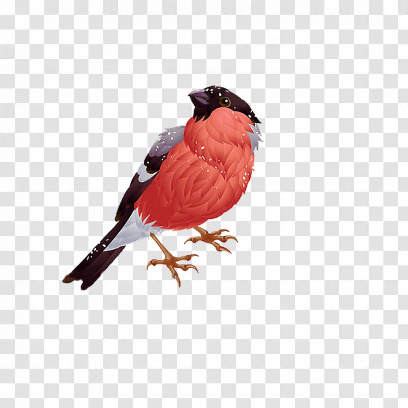 Bird Vector Graphics Royalty-free Stock Photography Clip Art - Perching Transparent PNG