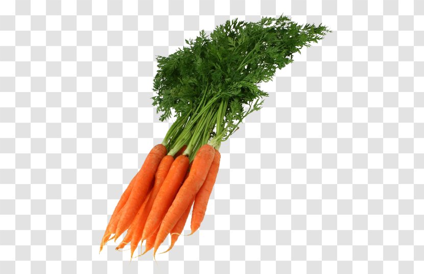 Baby Carrot Mart.NG Vegetarian Cuisine Food - Diet - Eat Right Transparent PNG