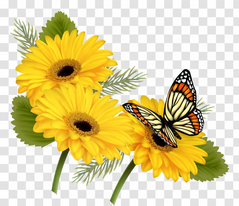 Butterfly Flower Yellow Clip Art - Chrysanths - Sunflower Transparent PNG