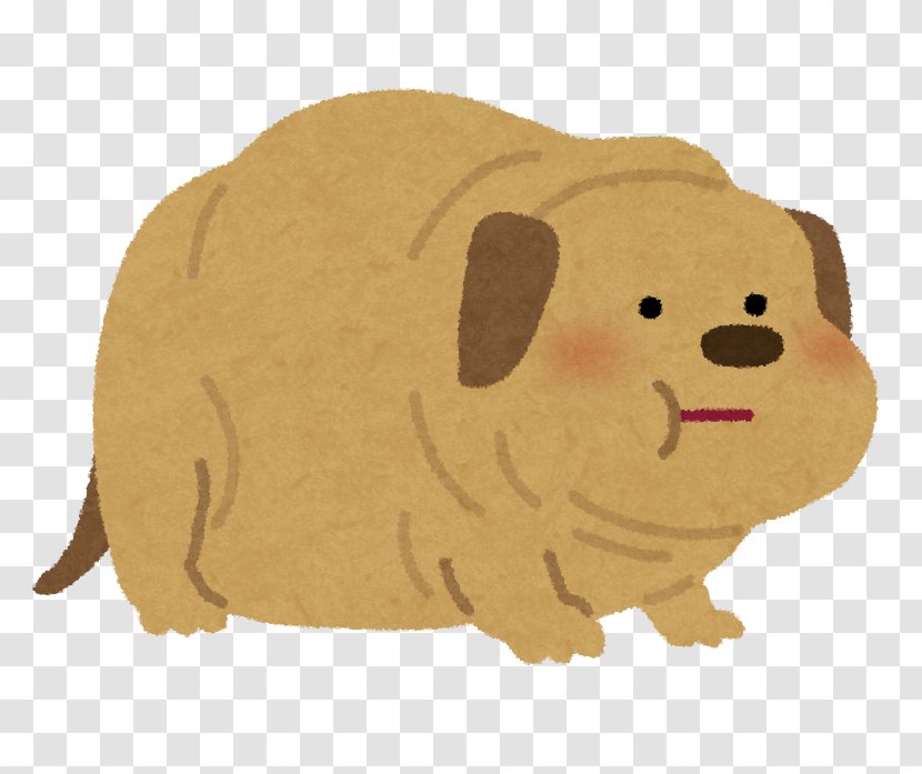 Poodle Dog Food Puppy Cat ドッグサロン - Snout Transparent PNG