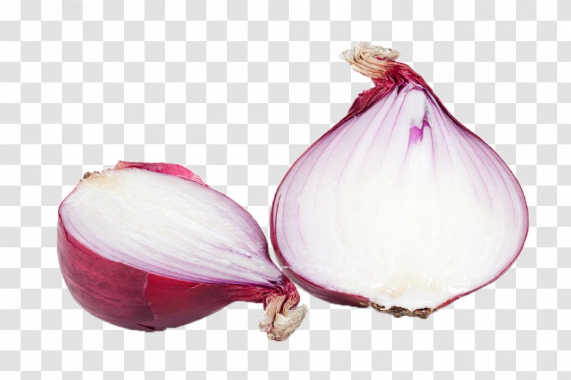 Red Onion Vegetable Food Allium Fistulosum - Nutrition Transparent PNG