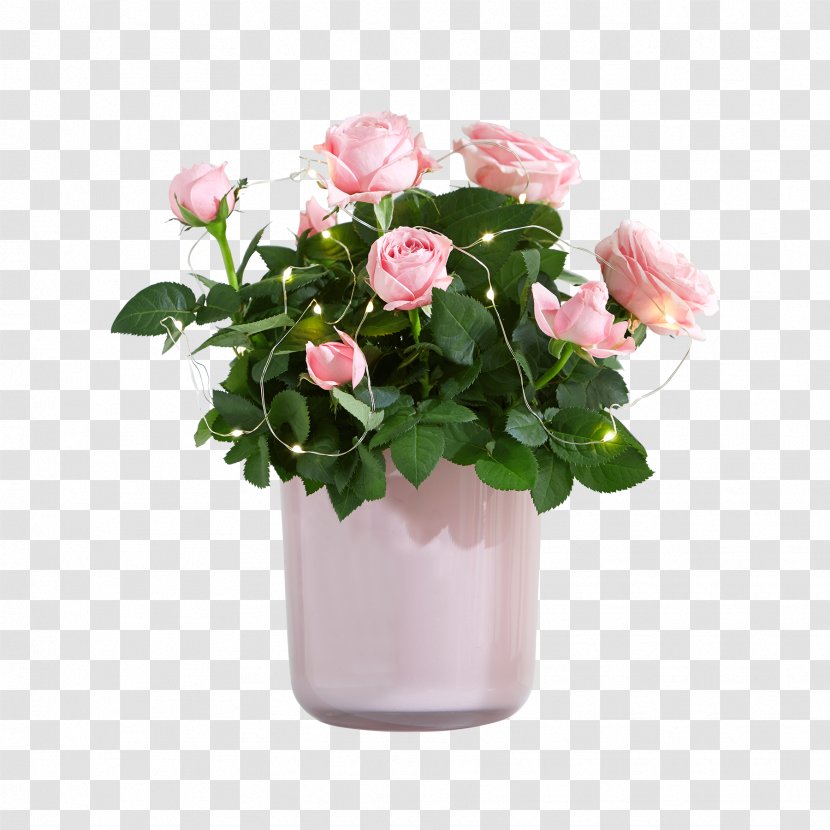 Garden Roses Cut Flowers Flower Bouquet Floral Design - Tulip Transparent PNG