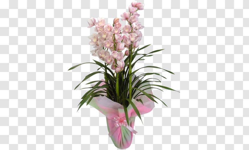 Floral Design Cut Flowers Moth Orchids Flowerpot - Floristry - Shop Goods Transparent PNG