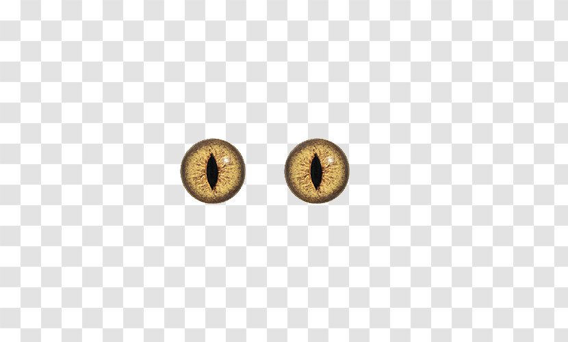 Brass Circle Pattern - Body Jewelry - Animal Eyes Transparent PNG