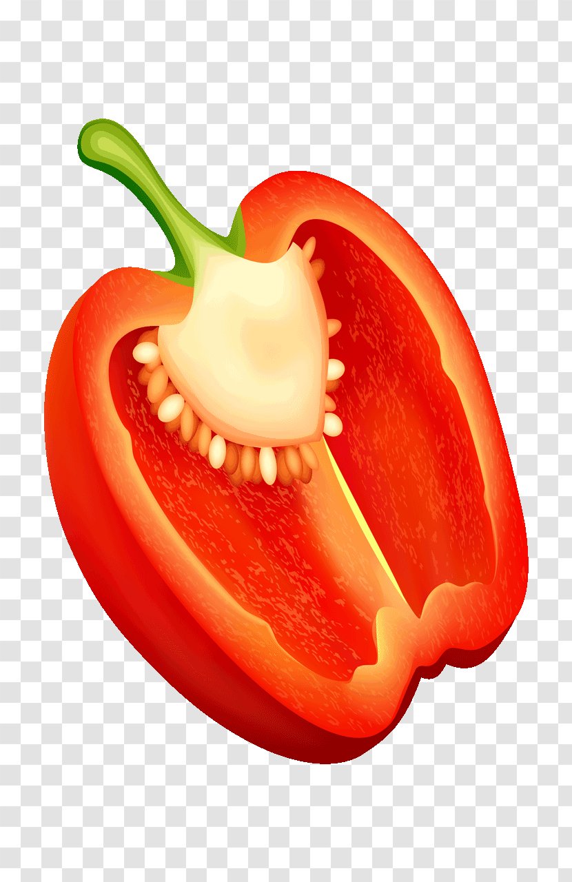 Bell Pepper Chili Cayenne Vegetable Food - Fruit - Peppers Transparent PNG