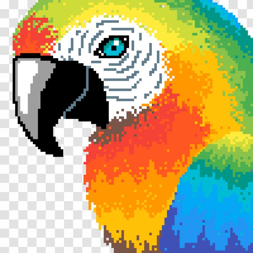 Beak Macaw - Wildlife Snout Transparent PNG