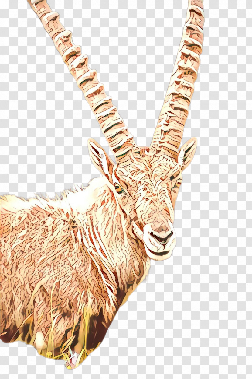 Antelope Goats Horn Waterbuck Cow-goat Family Transparent PNG