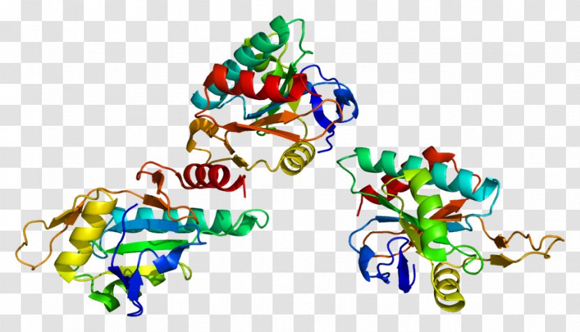 SCO1 Cytochrome C Oxidase Subunit II COX20 SCO2 - Flower - Frame Transparent PNG