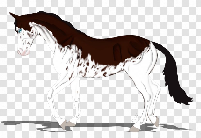 Mustang Mare Foal Stallion Rein - Tail - Seabreeze Vector Transparent PNG
