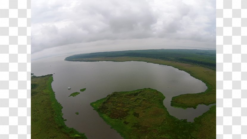 Water Resources Ecosystem Estuary Land Lot River Delta Transparent PNG