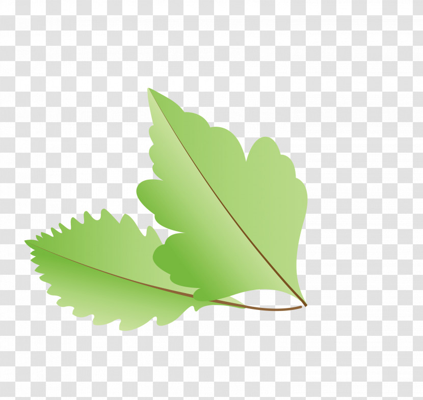 Leaf Green M-tree Meter Tree Transparent PNG