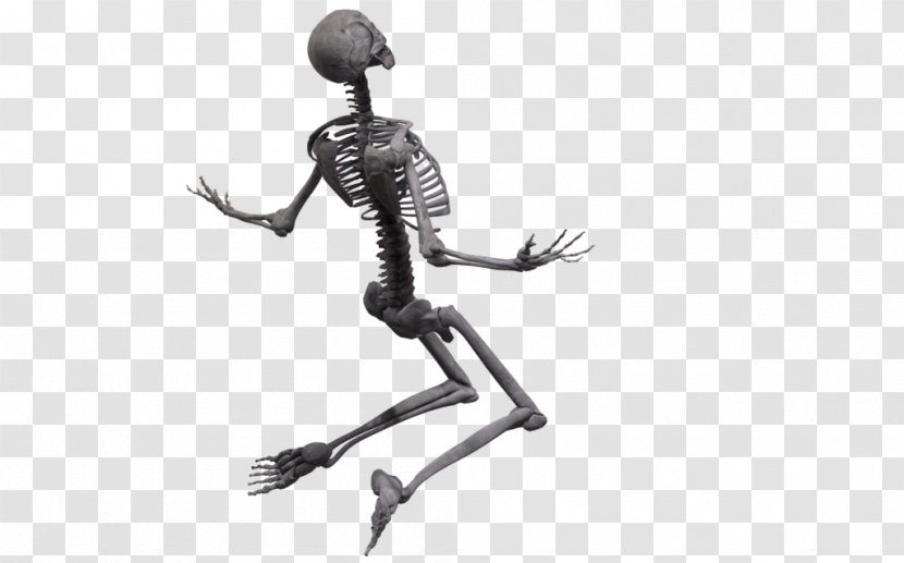 Skeleton Joint Poser Rendering DeviantArt - Deviantart - Human Bones Transparent PNG