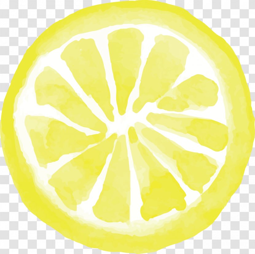 Lemon Citron Yellow Circle Font - Organism - Vector Hand-painted Fruit Transparent PNG