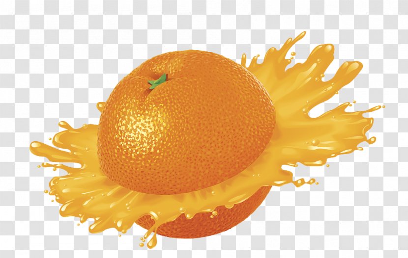 Orange Juice Smoothie Apple - Citrus - Effects Transparent PNG