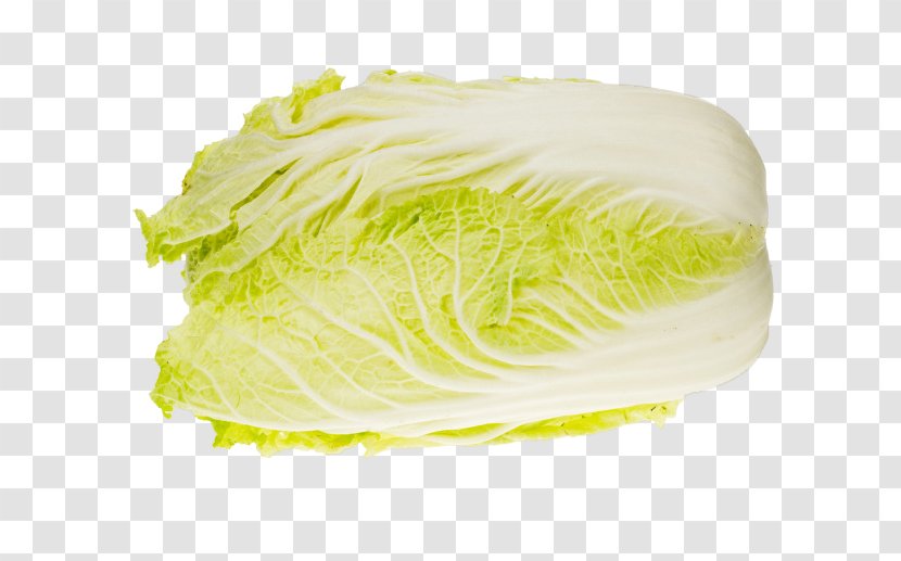 Romaine Lettuce Napa Cabbage Chinese Broccoli - Brassica - Sketch 3d Creative Fruit Transparent PNG