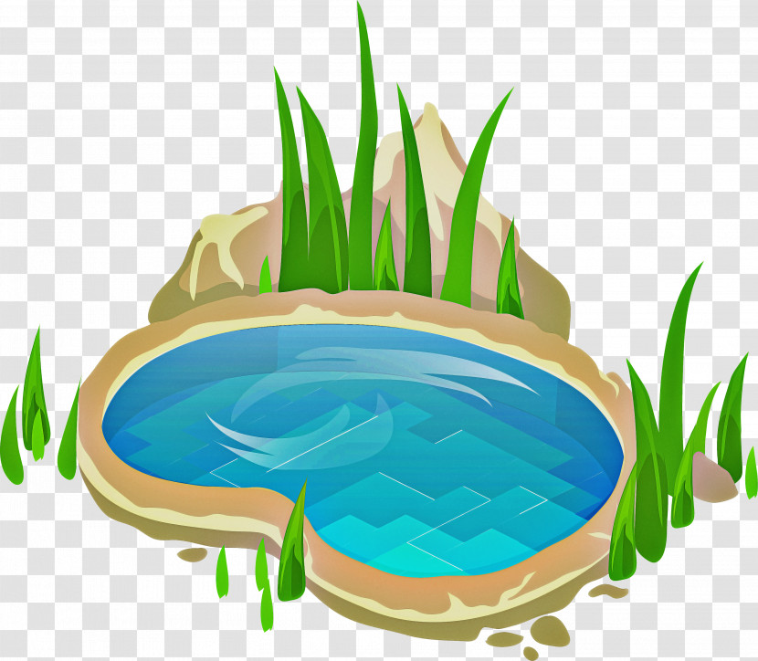 Grass Water Resources Water Grass Family Plant Transparent PNG