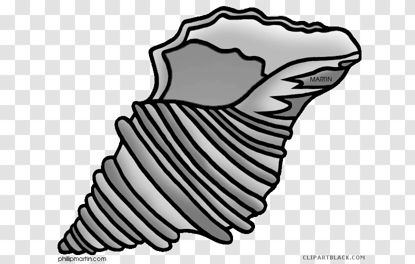 Clip Art Seashell Conch Image - Cartoon Transparent PNG