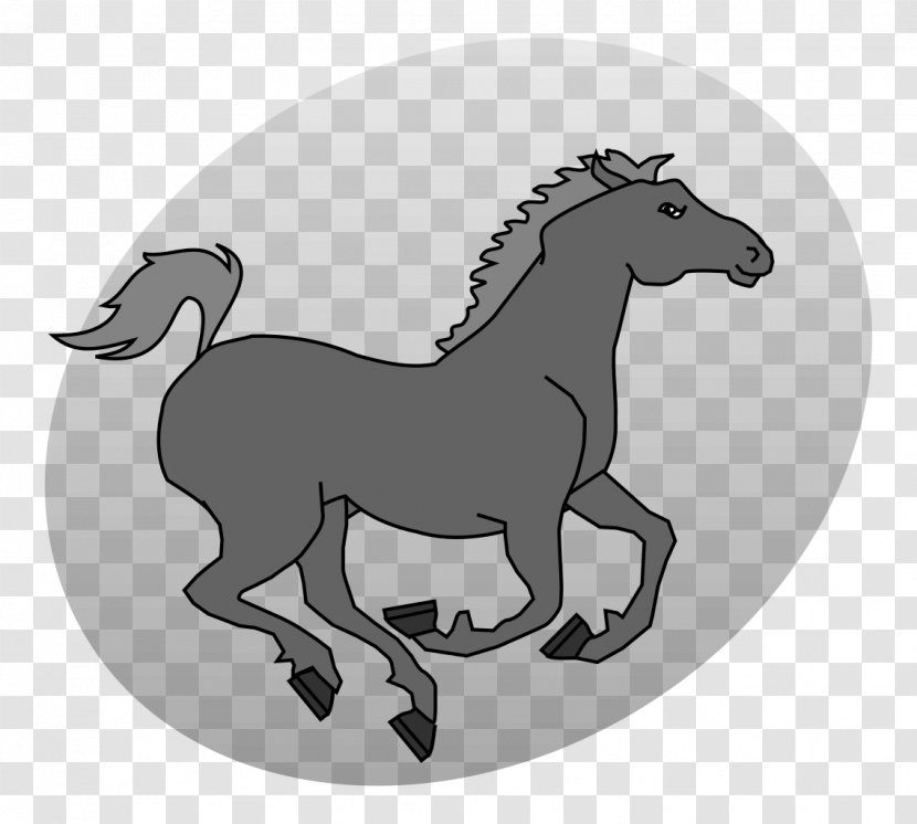 Mustang Pony Stallion Clip Art - Colt - Grey Horse Transparent PNG