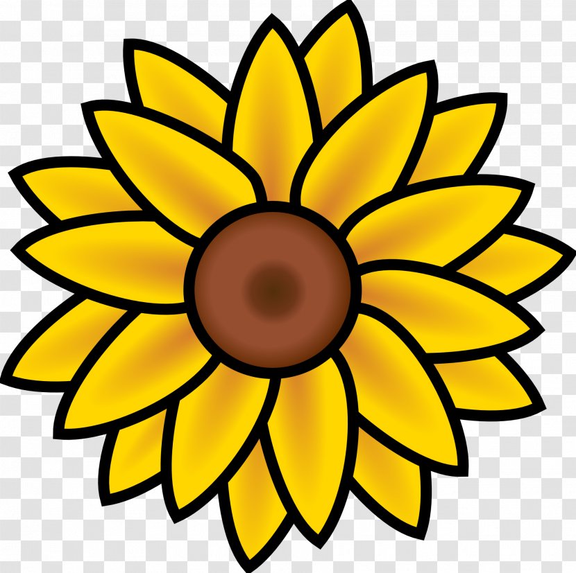 Common Sunflower Coloring Book Seed Plant Drawing Transparent PNG