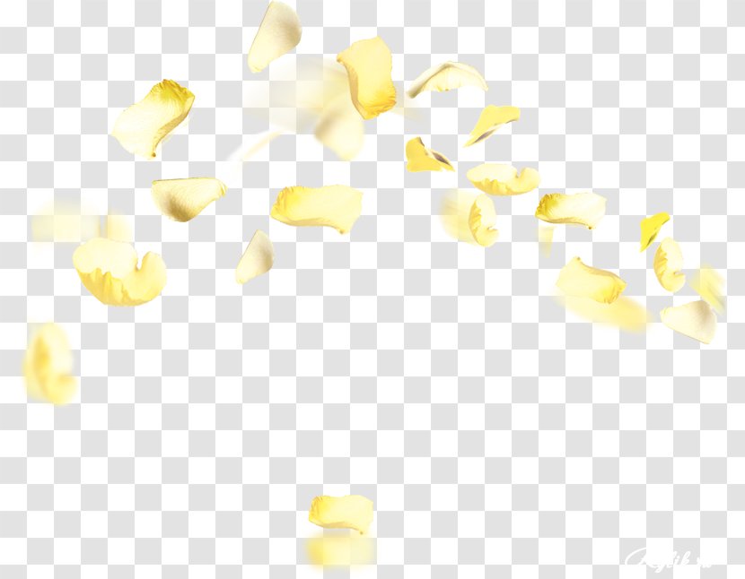 Yellow Petal Flower Orange Color Transparent PNG