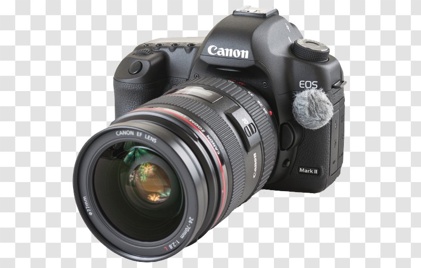 Camera Lens Digital SLR Nikkor Fujifilm - Reflex Transparent PNG