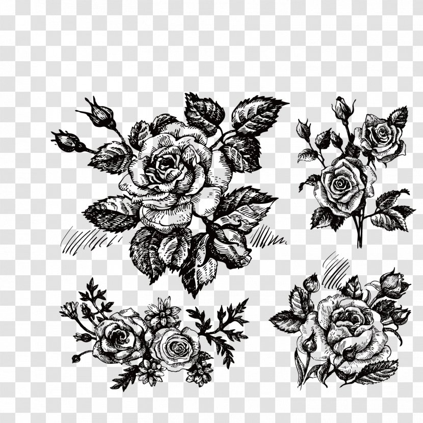 Rose Drawing Flower Clip Art - Flora - Hand-painted Roses Transparent PNG