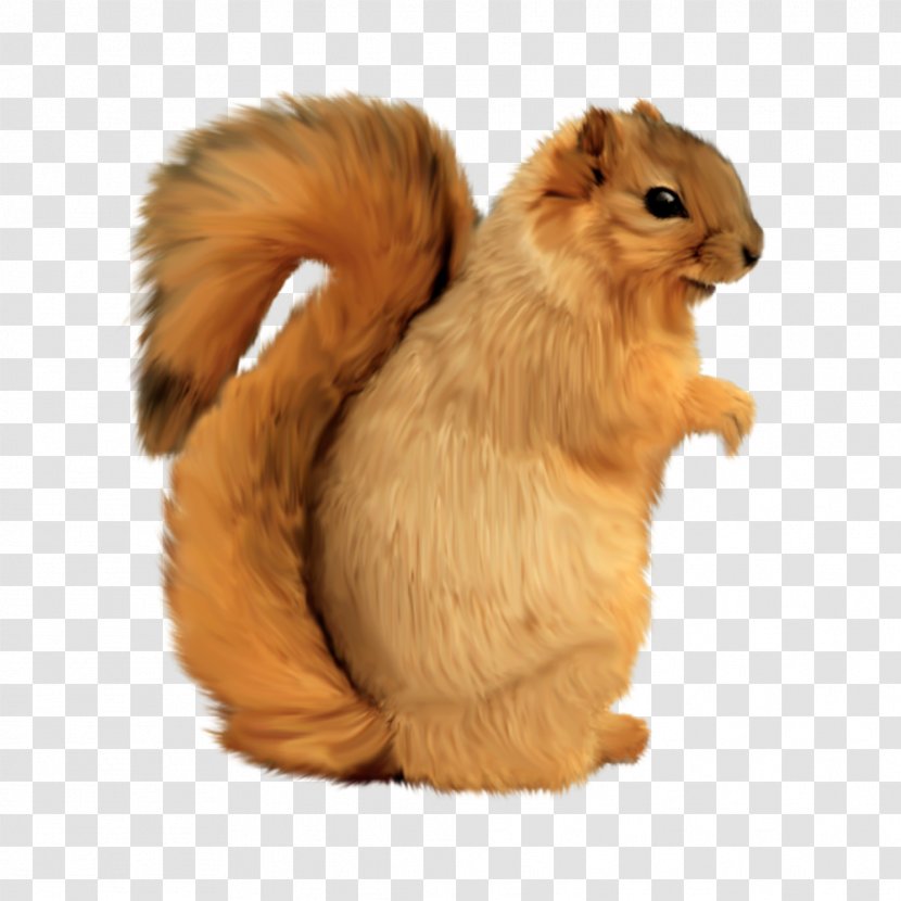 Tree Squirrel - Es Campur Transparent PNG