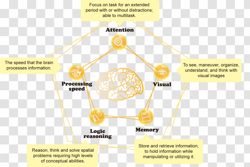 Brand Material Diagram - Design Transparent PNG