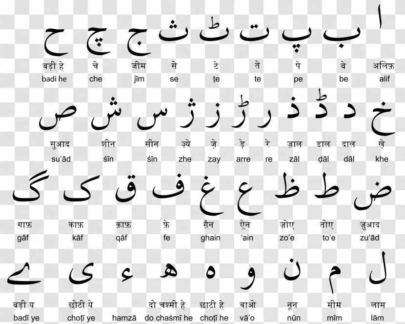 Devanagari Urdu Alphabet Latin - Tree - Arabic Calligraphy Transparent PNG