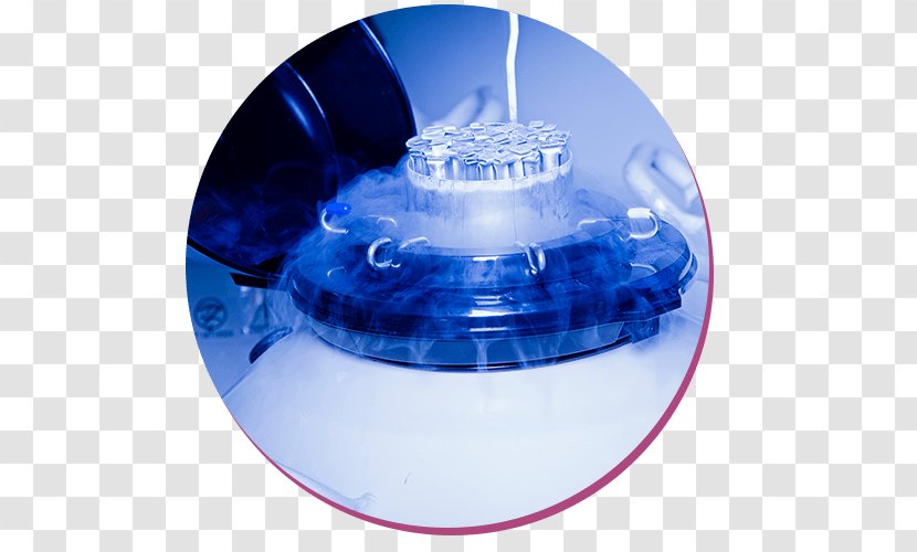 Artificial Insemination Laboratory Liquid Nitrogen Semen - Silhouette - Frame Transparent PNG