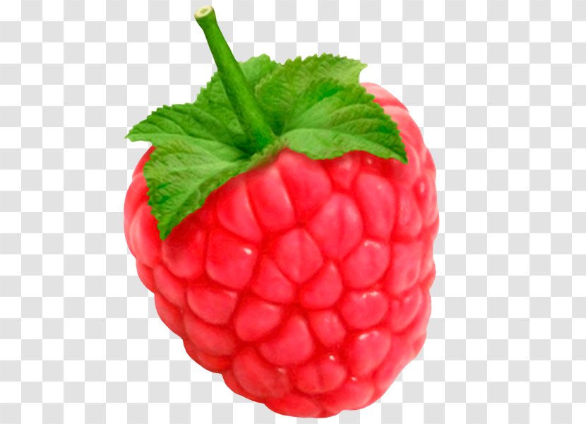 Raspberry Mari Belajar Learning Fruits - Superfood Transparent PNG