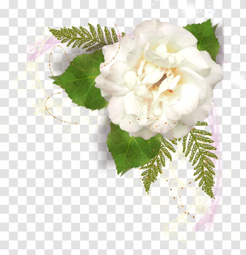 Flower Picture Frames White - Artificial - Pamphlet Transparent PNG