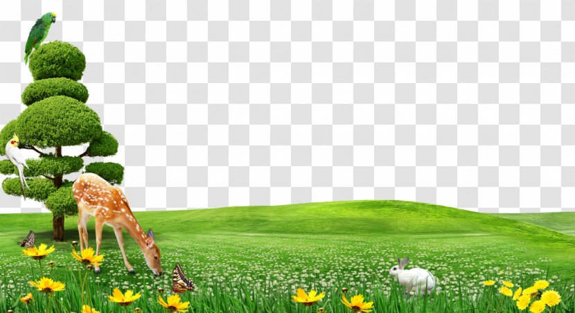 Childrens Day Template Illustration - Frame - Free Deer Grass To Pull Material Transparent PNG