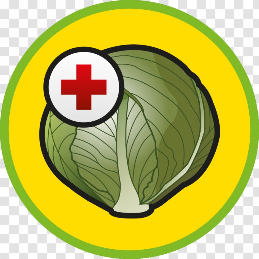 Cabbage Revenge Disease App Store - Onion Transparent PNG