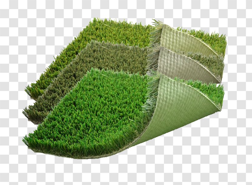 Lawn Artificial Turf Grasses Plant Shrub Transparent PNG
