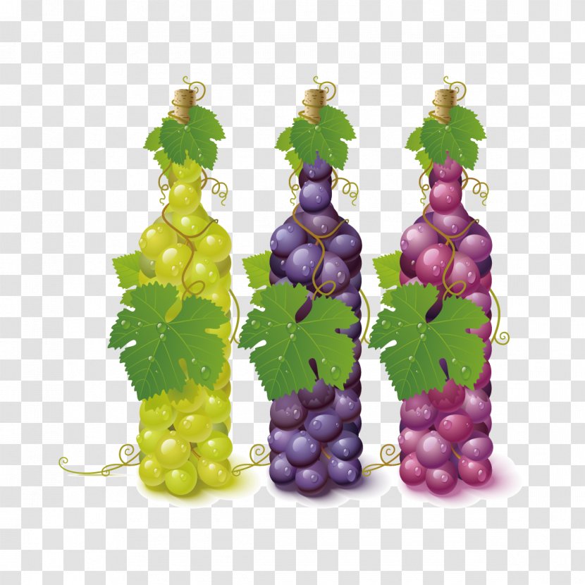 Common Grape Vine Wine Leaves - Seed Extract - Creative Transparent PNG